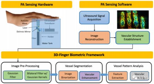 光声层析成像技术实现手指静脉3d成像,增强生物识别安全性